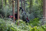 Rückblick TdSH 2025