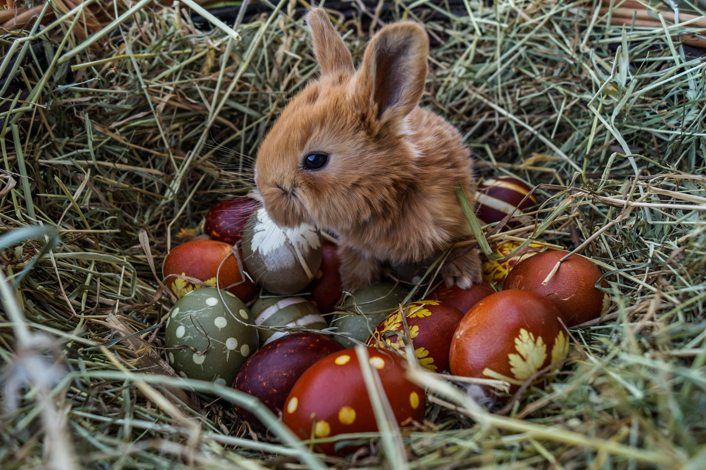 Ostern 2019